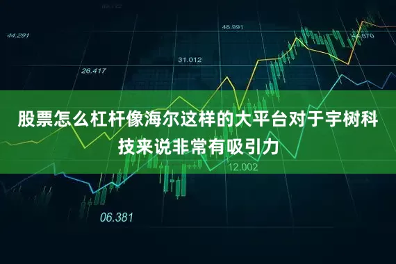 股票怎么杠杆像海尔这样的大平台对于宇树科技来说非常有吸引力