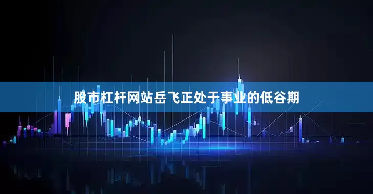 股市杠杆网站岳飞正处于事业的低谷期