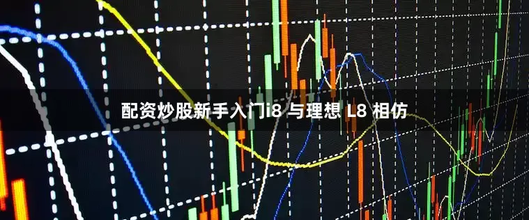 配资炒股新手入门i8 与理想 L8 相仿