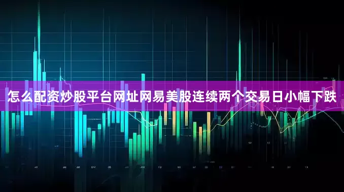 怎么配资炒股平台网址网易美股连续两个交易日小幅下跌